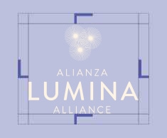 Lumina Alliance's logo with measurementes of what the margins surrounding the logo should look like