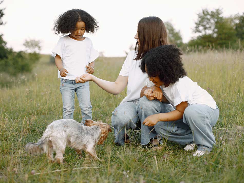 Mother, and two daughters pictured playing a field of grass with a dog.